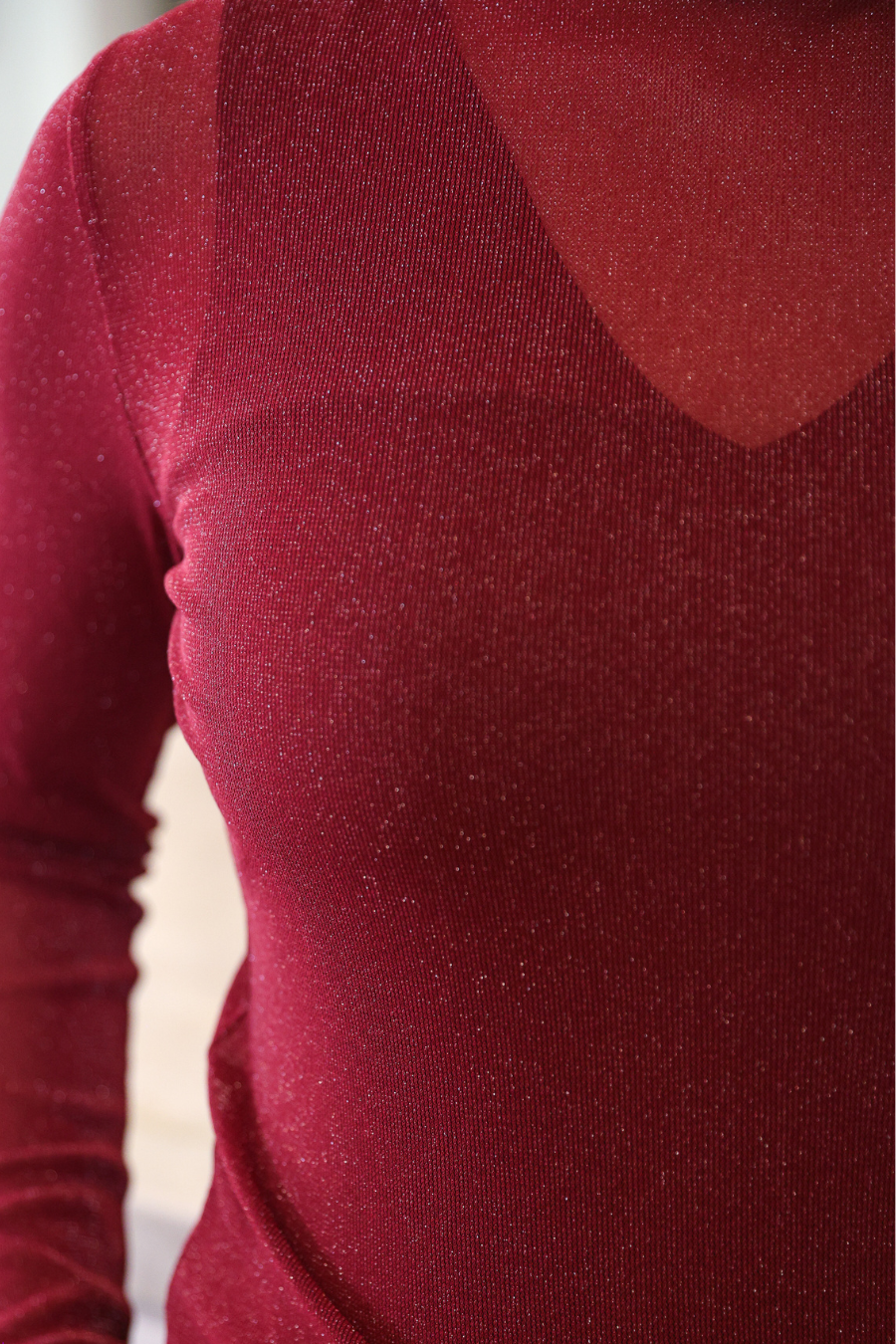 Keigan Maroon Glitter Mesh Top