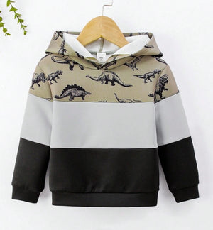 KIDS - Dino Colorblock Hoodie - Kid