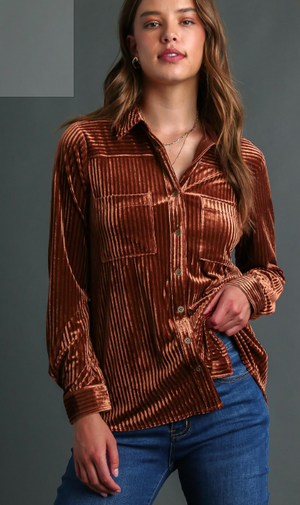 Up The Hill Velvet Button-Up Top